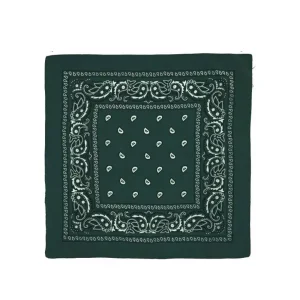 Pañuelo Paisley Verde Osc