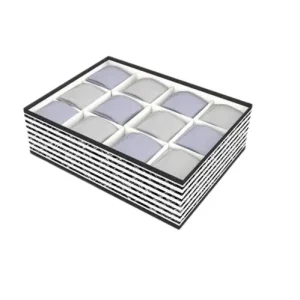 Caja de Almacenamiento 32X24X10CM (12)